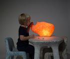 Rhino Lamp
