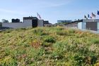 Green roofs