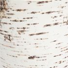 MeroWings® Birch Log / Cushionroll indoor