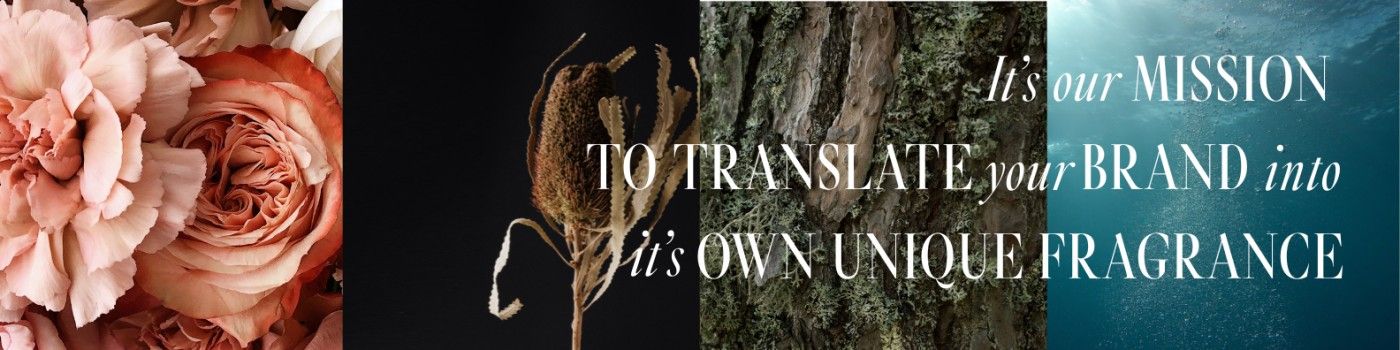 Cover image - Scented Stories