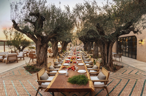 Trend Article: Radical Transparency