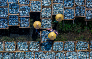 Food Photography Awards Exhibition