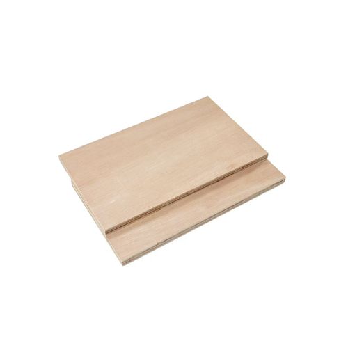  Commercial Euclyptus Plywood