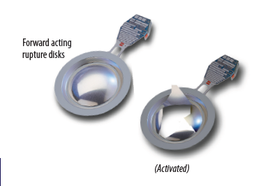 Rupture Disk Devices