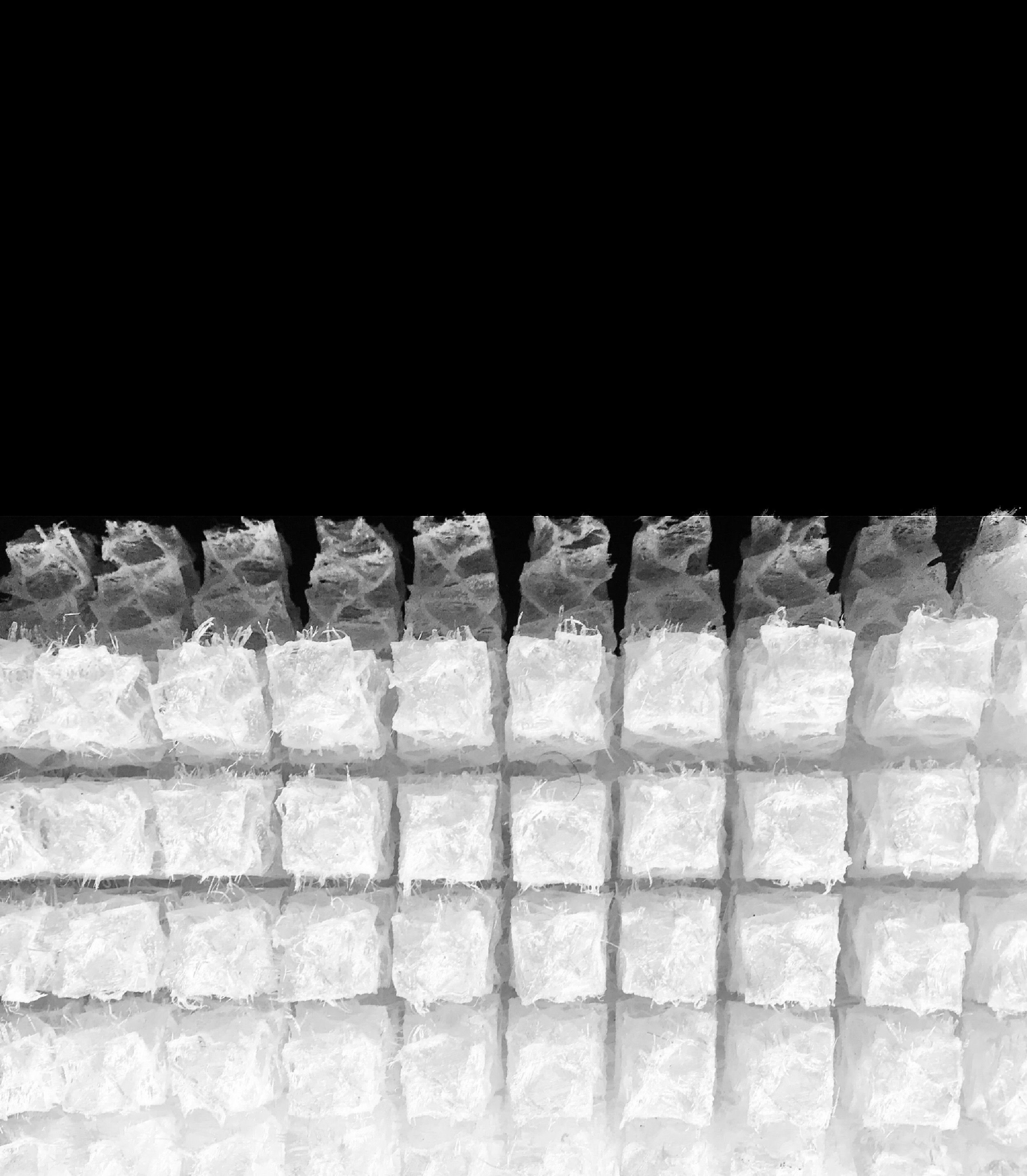 Cover image - Ecolattice