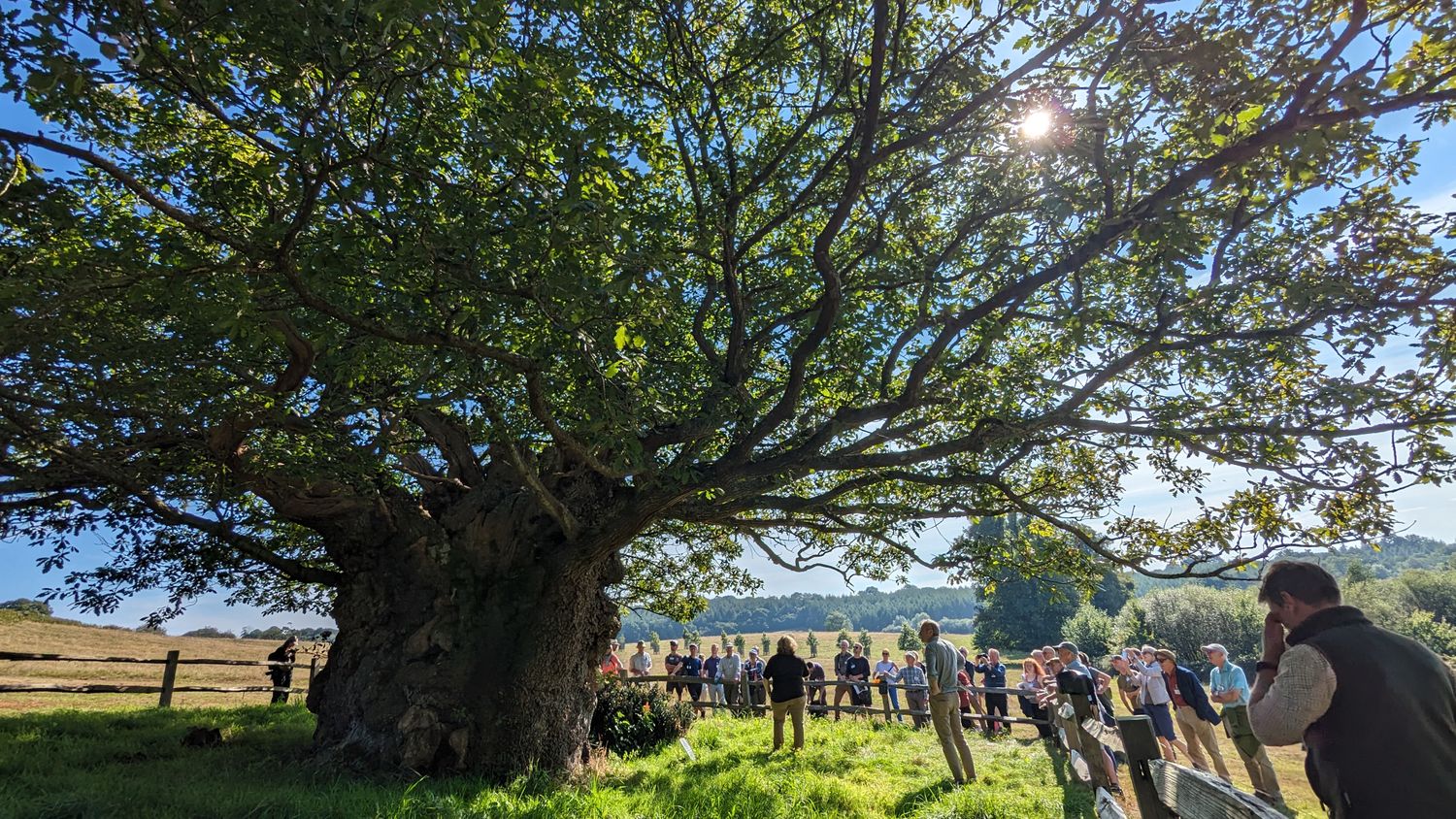 Cover image - Woodland Heritage