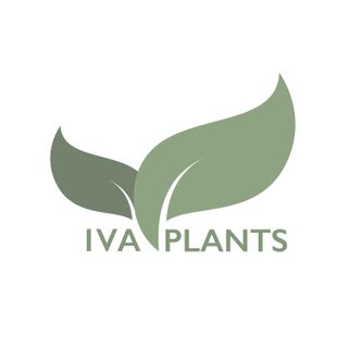 Exhibitor profile image for IVA PLANTS