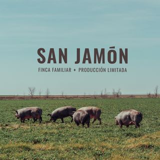 Exhibitor profile image for SAN JAMON