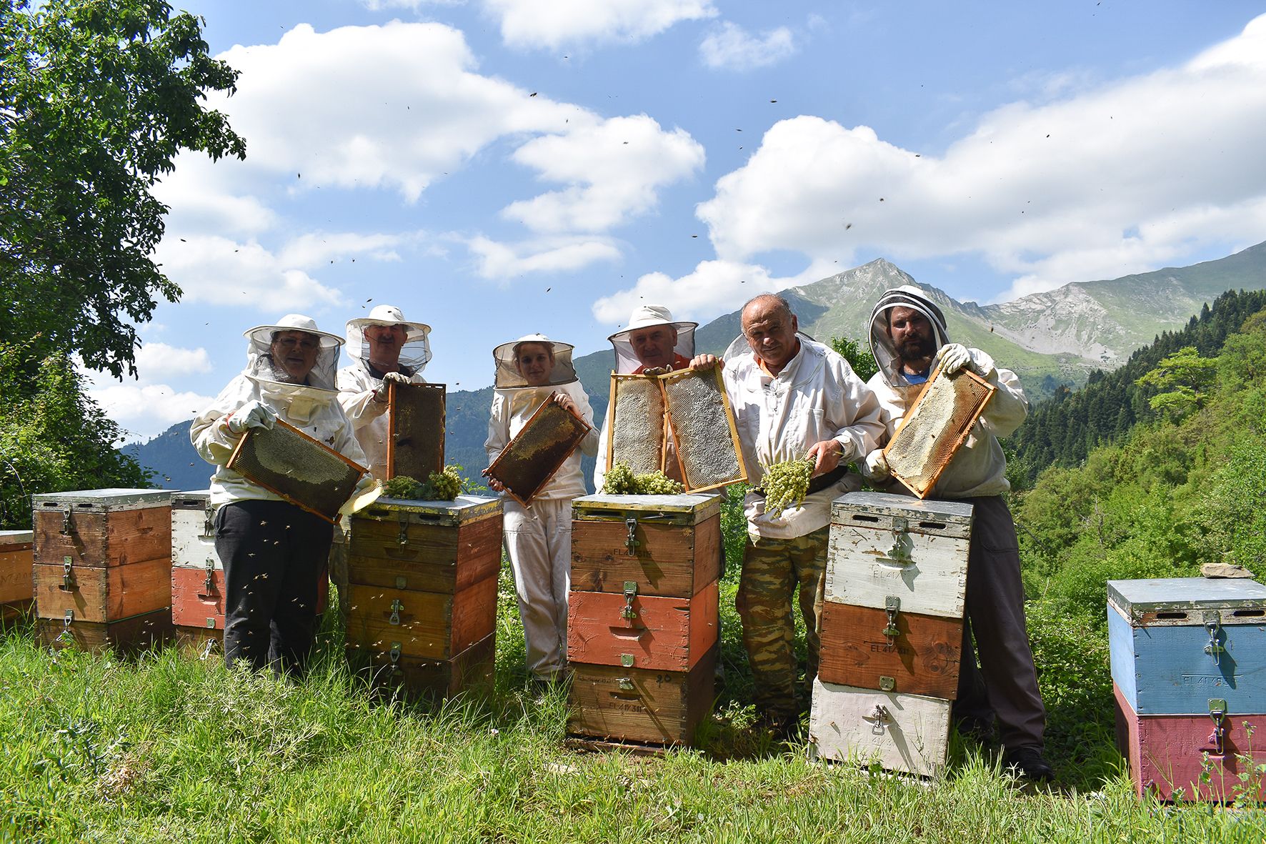 A Day in the Life of... Aphrodite Premium Greek Honey