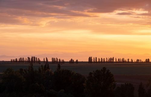 18 Producers from the Spanish Region of Castilla y Le&oacute;n to Showcase Products at Speciality & Fine Food Fair 2023
