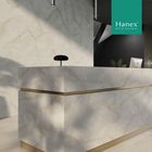 VM -004 Venato Marble Champagne