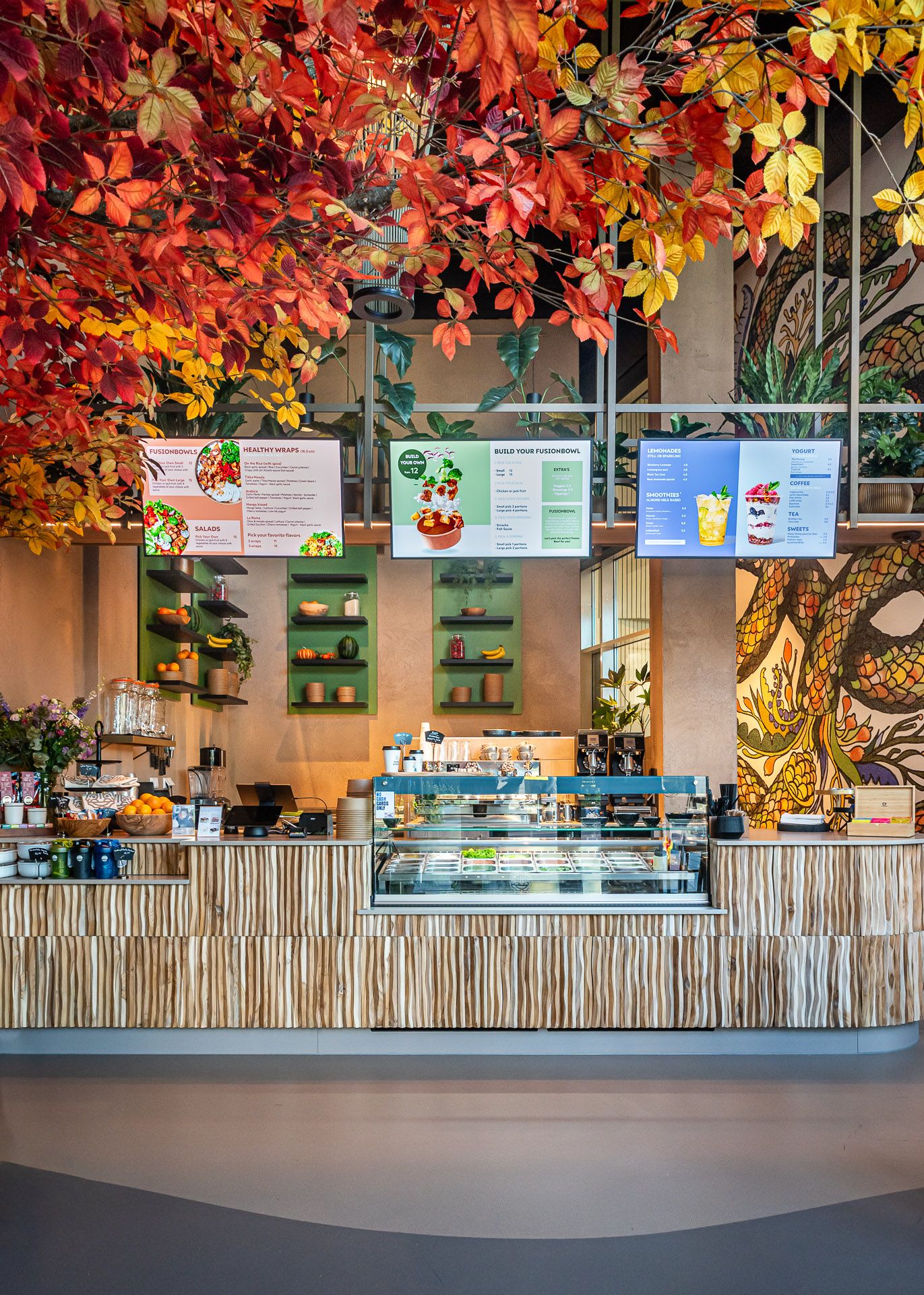 Canyon Teak Wonderwall Studios