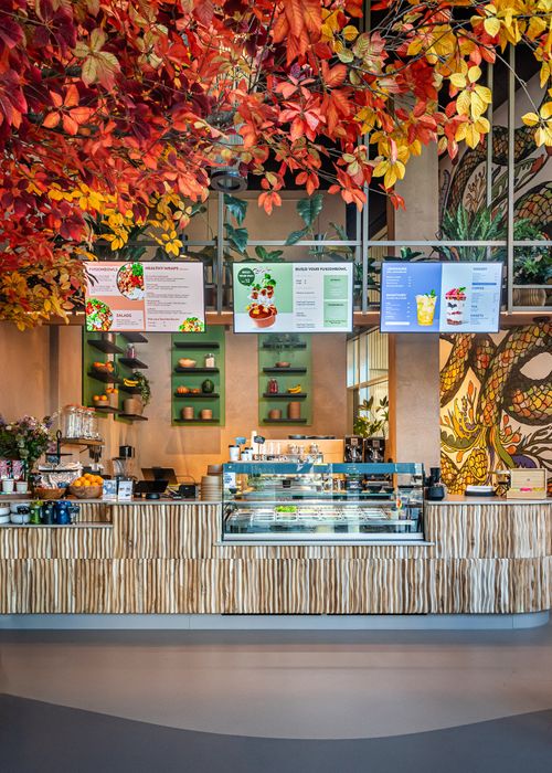 Canyon Teak Wonderwall Studios