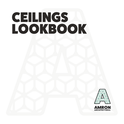 Ceilings Lookbook
