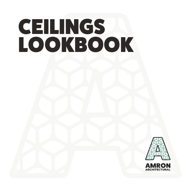 Ceilings Lookbook