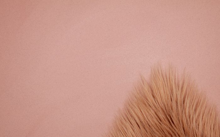 EPI Superbase Cortica System