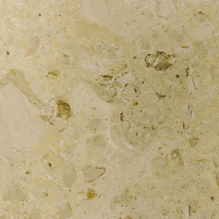 Highlights from Our Selection on Display