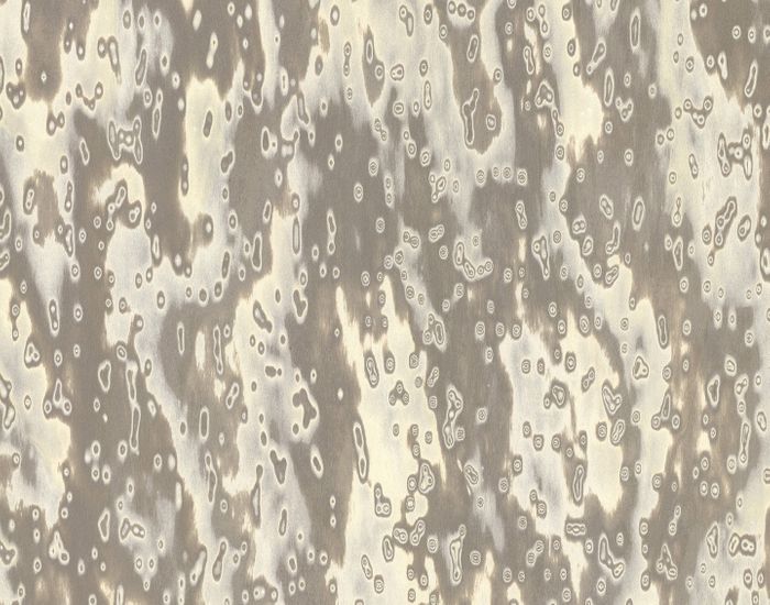 18.36 ALPI Wooclé Grey Design Gamfratesi