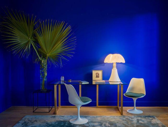 Yves Klein® paint