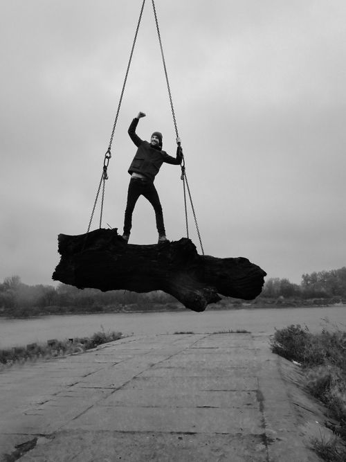 Wonderwall Studios Bog Oak movie