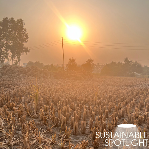 SUSTAINABLE SPOTLIGHT: Parali by Aarushi
