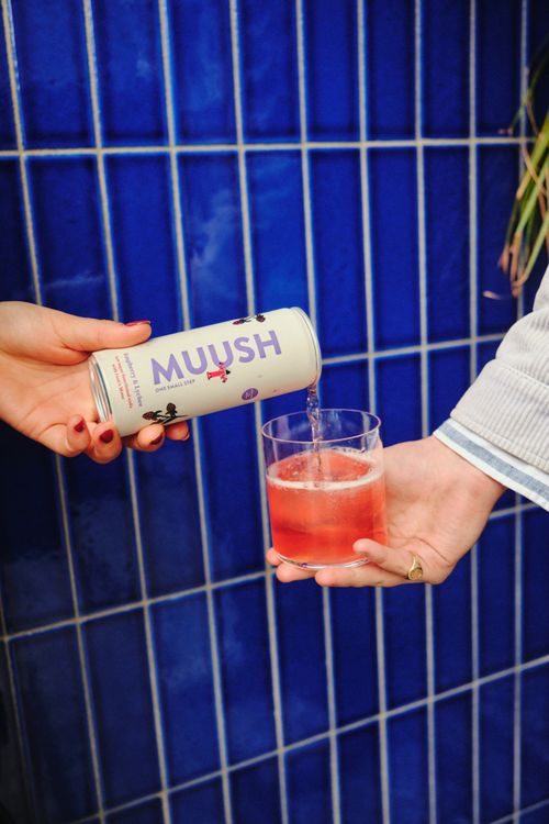 MUUSH: Raspberry and Lychee functional soda with Lion's Mane 250ml