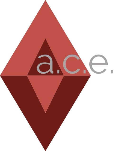 Audit. Consulting. Education. LLC