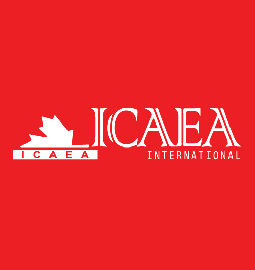 International Computer Auditing Education Association