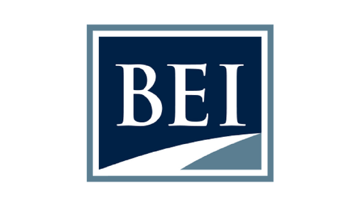 Business Enterprise Institute, Inc.