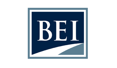 Business Enterprise Institute, Inc.