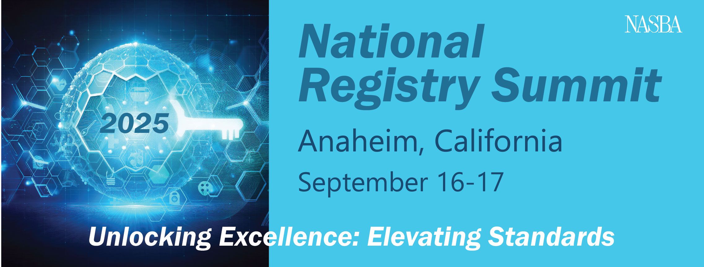 2025 National Registry Summit Logo