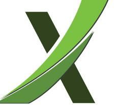 Xponential Growth Solutions