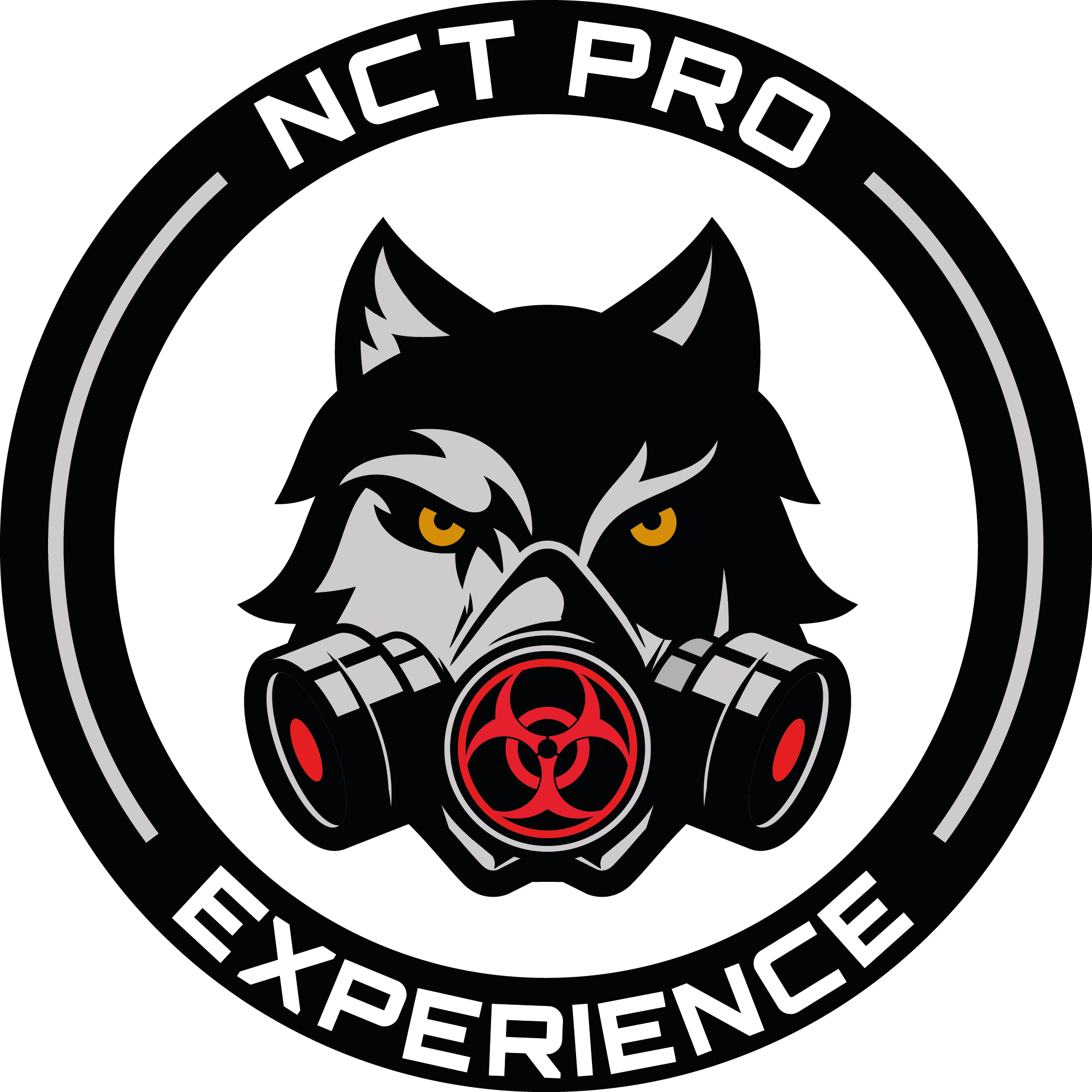 NCT PRO Experience