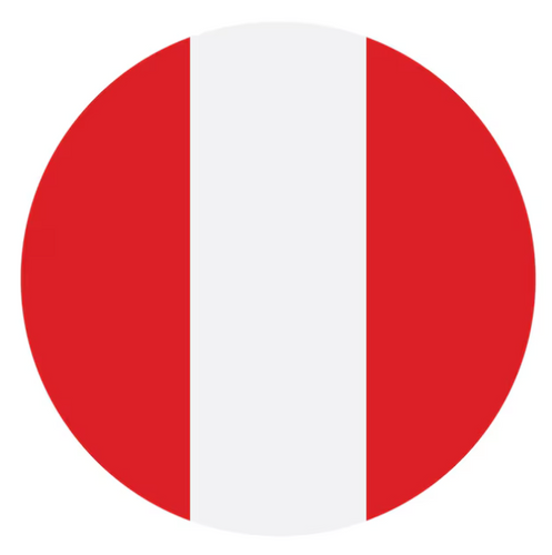 Gen. Francisco Salvador Munarriz Escajadillo - 