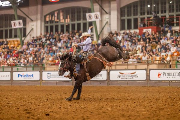 Bull Riding Photo