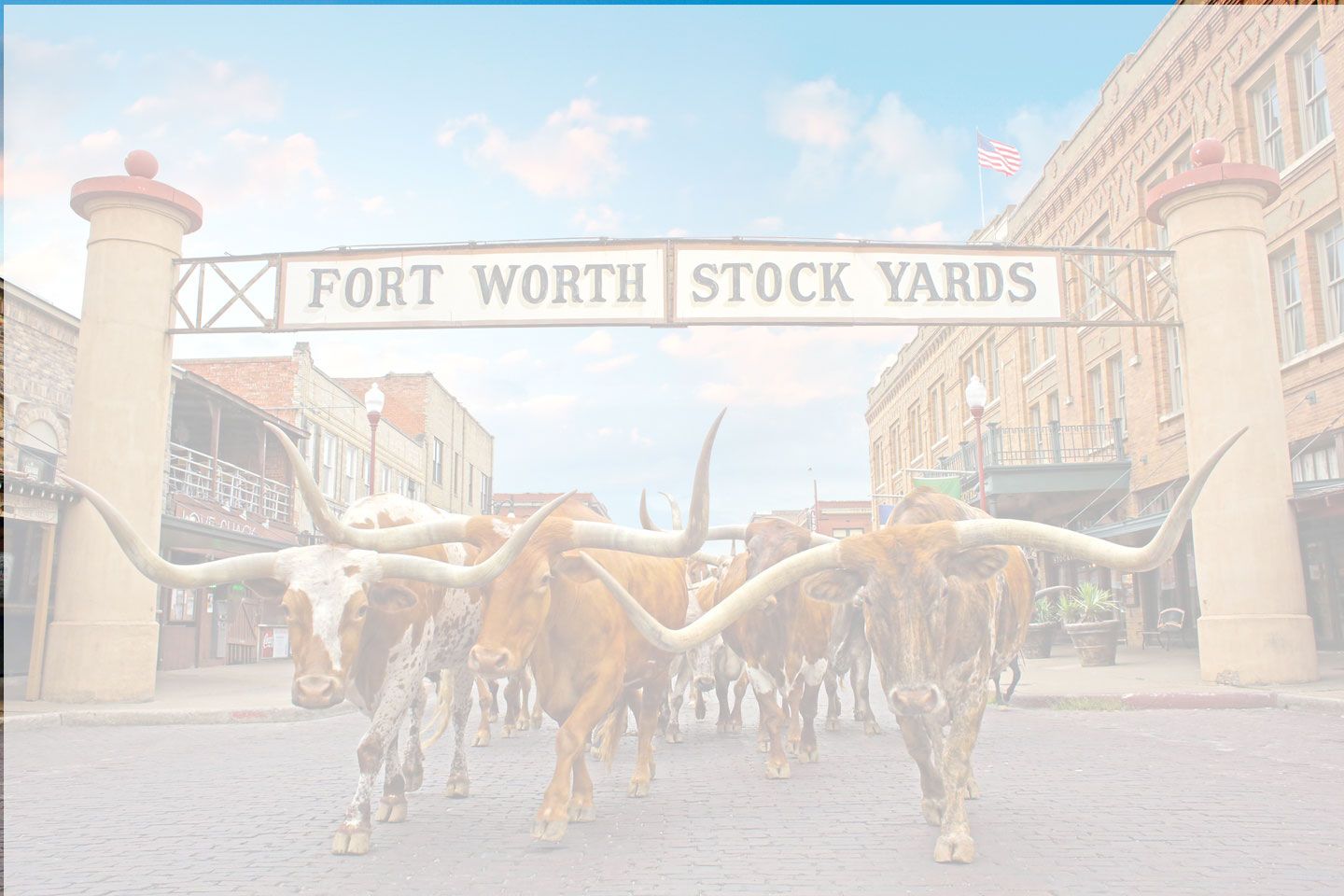 Fort Worth Stock Yards Sign with Longhorns walking beneath the sign