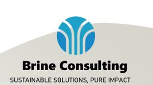 Brine Consulting