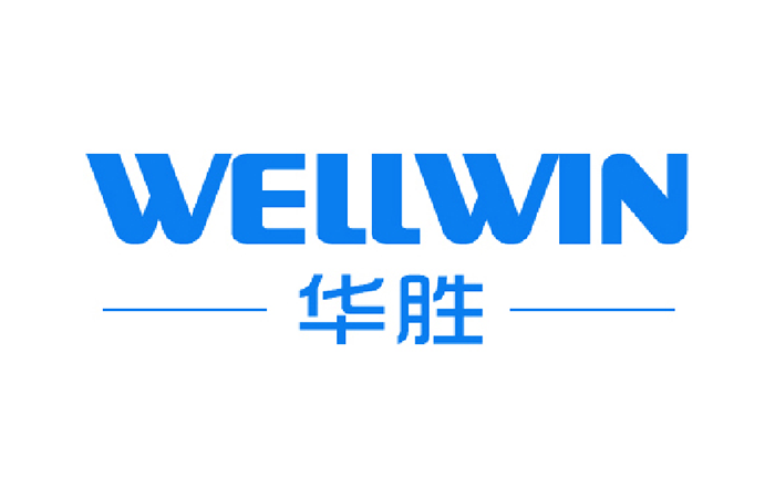 Wellwin logo