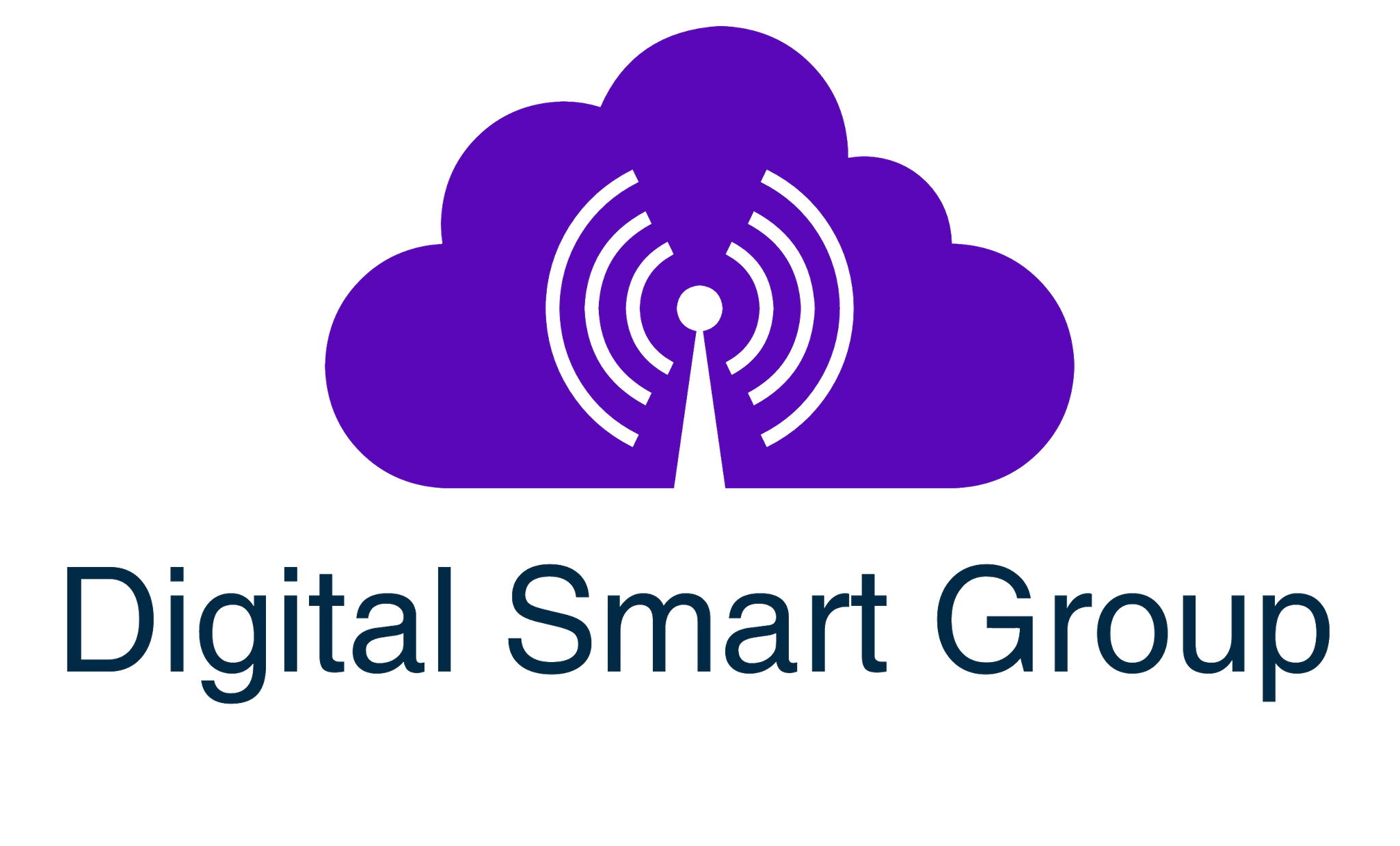 Digital Smart Group
