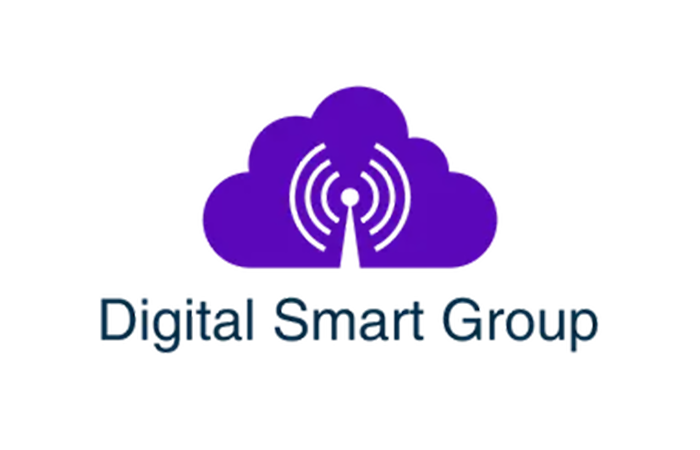 Digital Smart Group logo