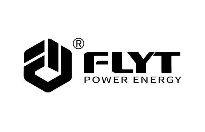 Jiangsu Fanye Power Energy Equipment Co Ltd Logo