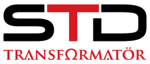 STD Transformer