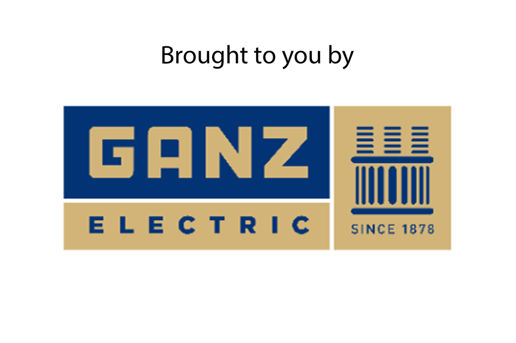 GANZ Logo Index