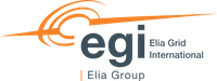 Company name - Elia Grid International