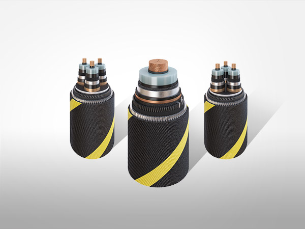 SBEE Cables India Ltd services