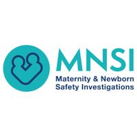 Company name - Maternity and Newborn Safety Investigations