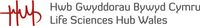 Company name - Life Sciences Hub Wales