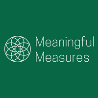 Company name - Meaningful Measures Ltd