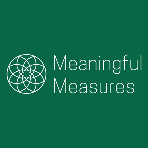 Meaningful Measures Ltd