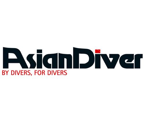 Asian Diver